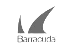 Barracuda